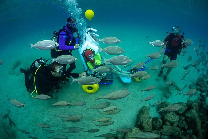 Sea Trek and Diving for handicaped people - Key points to know before booking