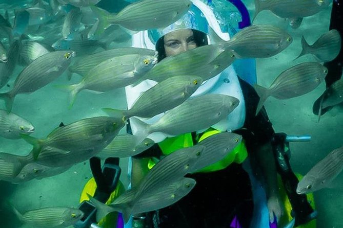 Sea Trek and Diving for handicaped people - Why three instructors make a difference