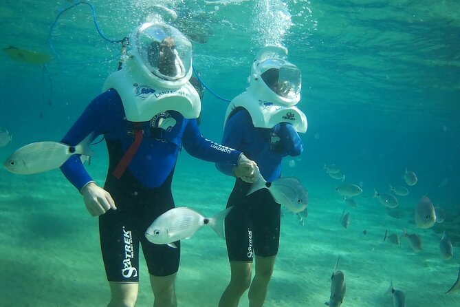 Sea Trek Diving Experience in Costa Teguise - Choosing between the morning and afternoon