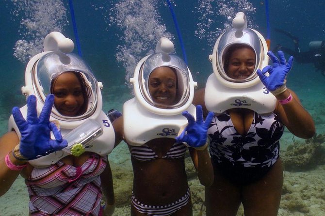 Sea Trek Helmet Dive at Coral World Ocean Park - What the 45-minute visit actually involves