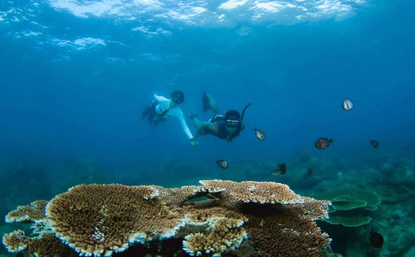 Semporna: Explore 3 Islands Tour Snorkel or Dive & Lunch - Leaving Semporna for Timba Timba