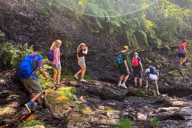 Serra D’Arga Hike, Dive & Dine Like A Local in a Secret Spot - Who will enjoy this outing most