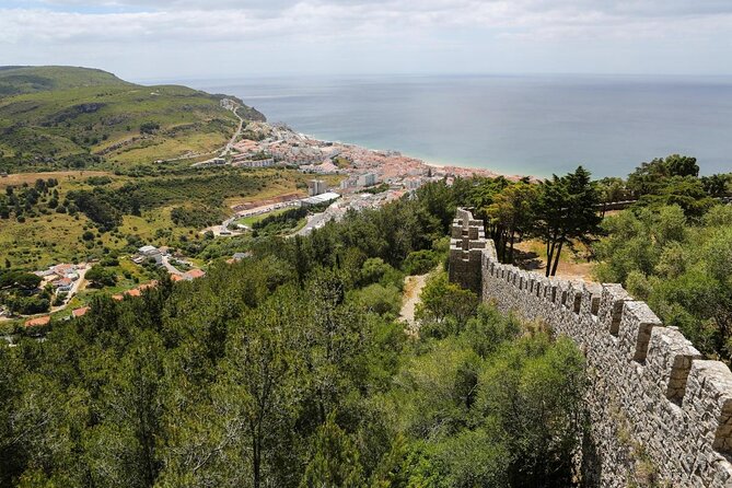 Sesimbra Dive Discovery - Key points to know before booking