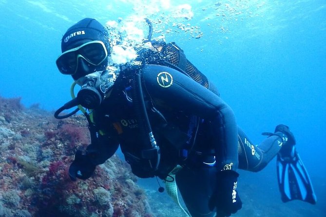 Sesimbra Dive Discovery - Why Sesimbra makes a good first scuba setting