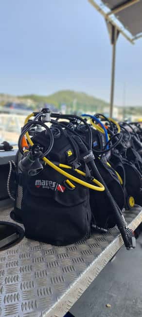Sesimbra: First Scuba Diving Experience in the Ocean - Is $117 a fair price?