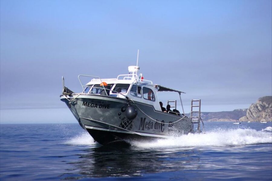 Sesimbra: First Scuba Diving Experience in the Ocean - Cancellation and language details