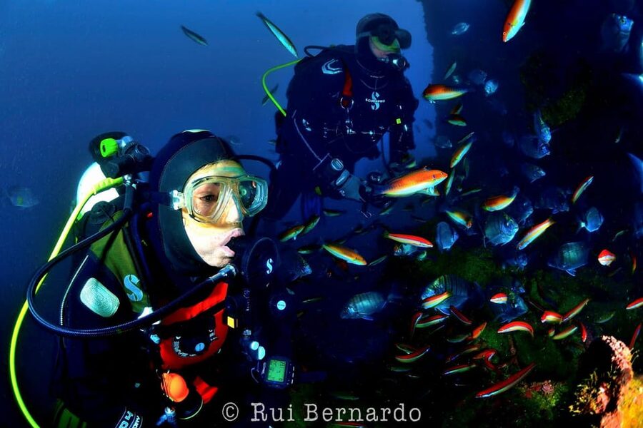 Sesimbra: Scuba Diving Experience for Beginners - A First Underwater Session in Calm Conditions