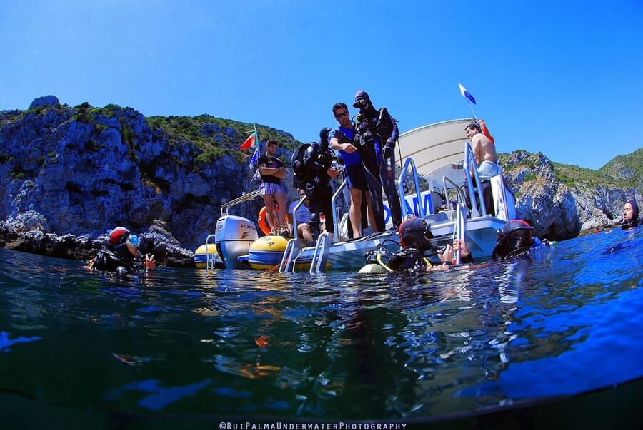 Sesimbra: Scuba Diving Experience for Beginners - Practical Timing Around Your Lisbon Plans