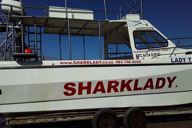 Shark Cage Diving - The first hours on the water