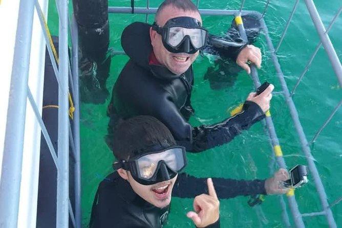 Shark Cage Diving - Watching Great Whites from the catamaran