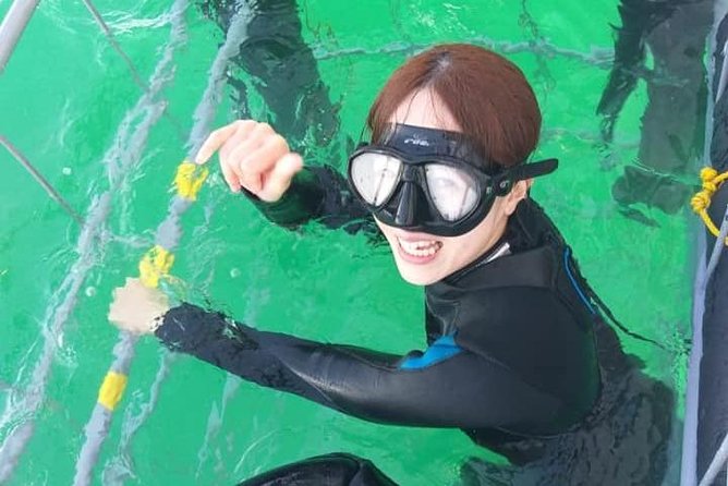 Shark Cage Diving - Who will get the most from this trip