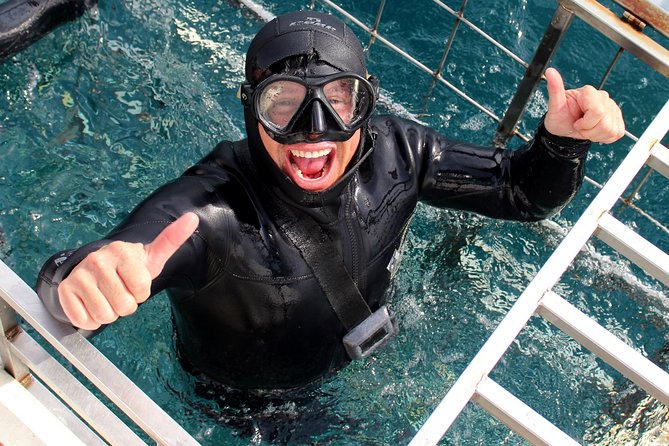 Shark Cage Diving and Viewing with transport from Cape Town - Breakfast and briefing at the Great White House
