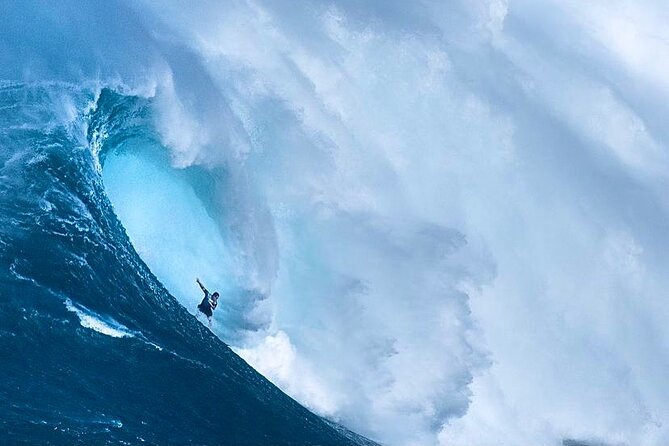 Shark Cage Diving On "The World Famous North Shore of Oahu", Hawaii - Price and what the $100 covers