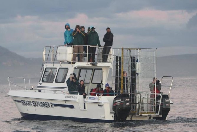 Shark cage diving & viewing tours in Gansbaai - Breakfast and the safety briefing