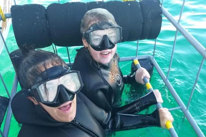 Shark Cage Diving - Why a group of 12 makes a difference