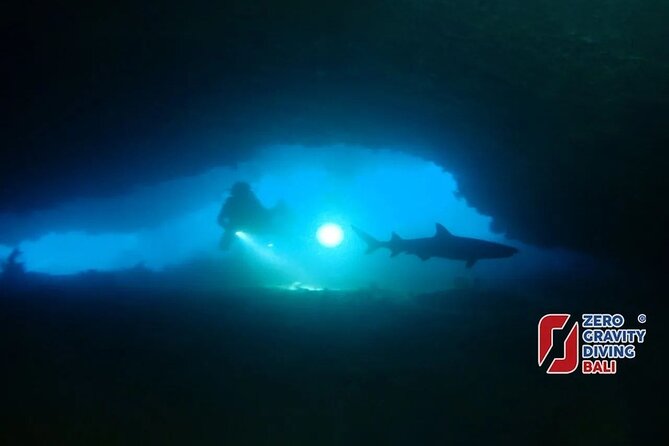 Shark Cave diving at Tangked Taked and Biaha Shark Caves - Key points to know before booking