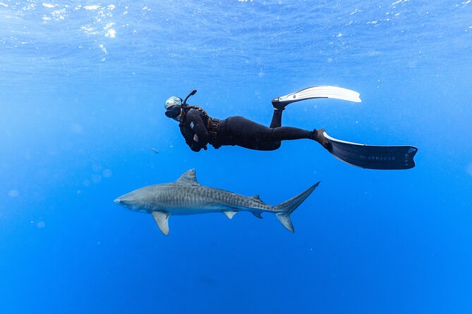 Shark Dive Private Charter No Cage - Getting the safety briefing before entering the water
