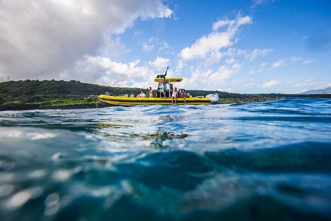 Shark-Dive Tour on Oahu's North Shore - The crew sets the tone
