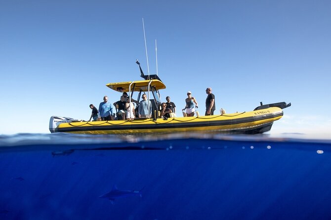Shark-Dive Tour on Oahu's North Shore - Who should book this North Shore outing?