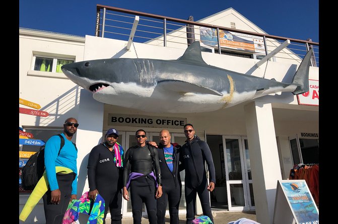 Shark Diving - Weather matters more here than on a city tour