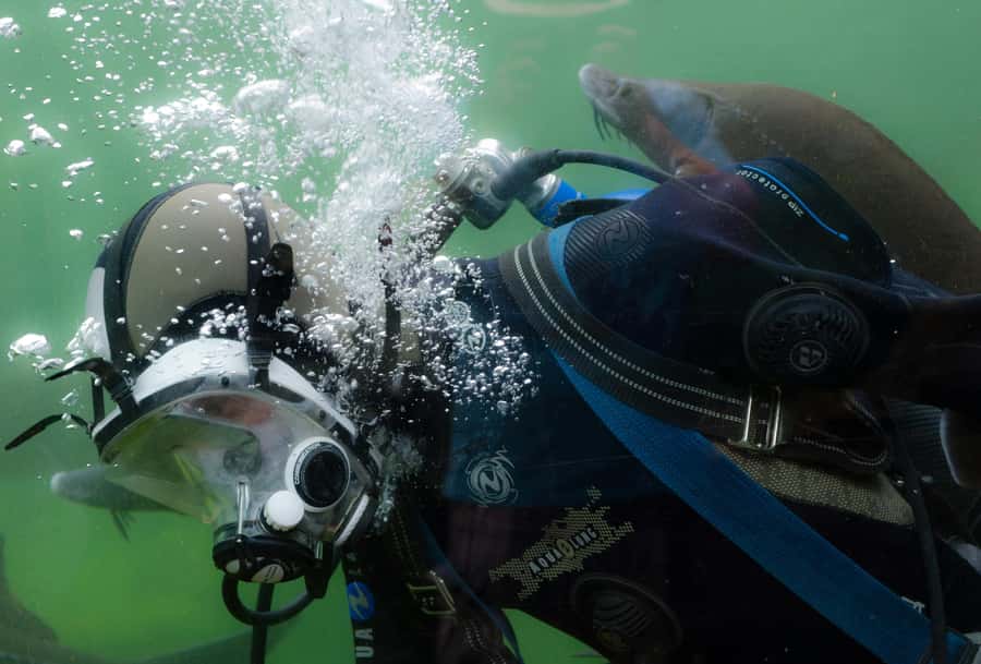 Sharm El-Sheikh: Guided Shore Scuba Diving at 2 Dives - The first session: instruction, checks, and getting comfortable