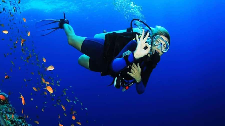 Sharm El-Sheikh: Guided Shore Scuba Diving at 2 Dives - What happens after the two sessions