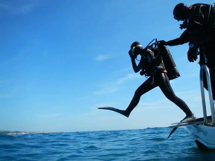 Sharm El Sheikh: Ras Mohamed & White Island Dive & Snorkel - Setting out from Sharm El Sheikh