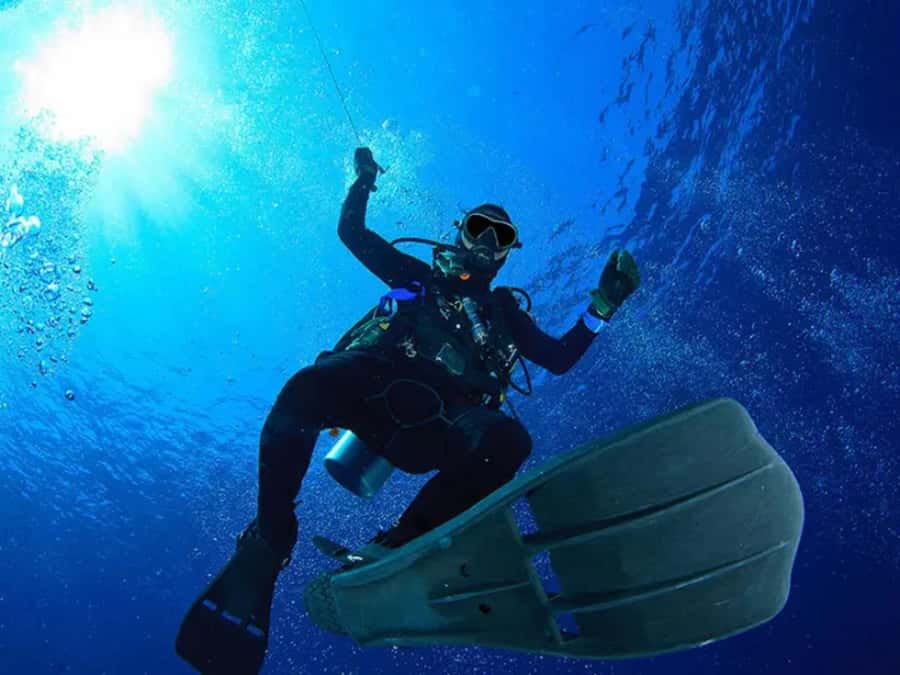 Sharm El Sheikh: Ras Mohamed & White Island Dive & Snorkel - Lunch, drinks, and time between activities