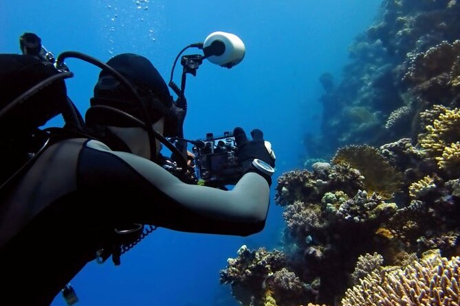 Sharm El Sheikh: Ras Mohamed, White Island, Snorkel and Diving - From your Sharm El Sheikh hotel to the marina