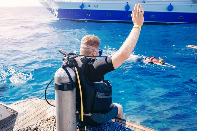 Sharm El Sheikh: Ras Mohamed, White Island, Snorkel and Diving - Two water stops for snorkeling and swimming
