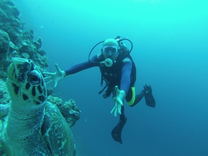 Sharm El Sheikh: Ras Mohamed & White Island Snorkel or Dive - Why Ras Muhammad is worth a day from Sharm