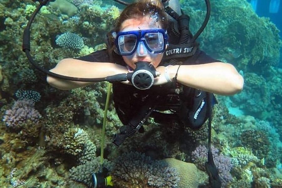 Sharm El Sheikh: Ras Mohamed & White Island Snorkel or Dive - Two reef stops with different ways to enter the water