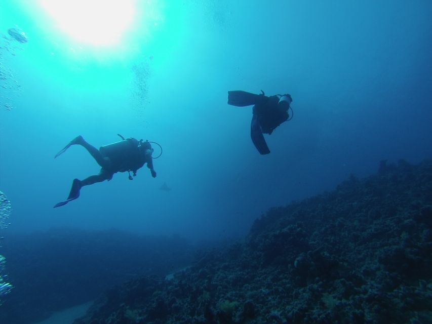 Sharm El Sheikh: Ras Mohamed & White Island Snorkel or Dive - Lunch, drinks, and the rhythm between water sessions