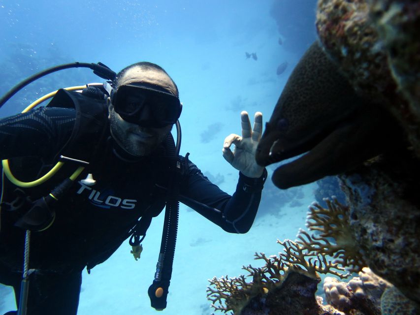 Sharm El Sheikh: Ras Mohamed & White Island Snorkel or Dive - The instructors are the strongest part