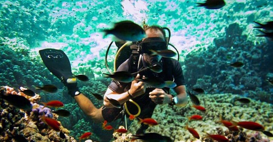 Sharm El Sheikh: Ras Mohamed & White Island Snorkel or Dive - Hotel pickup and the start of the boat day