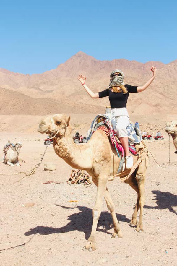 Sharm El Sheikh: Red Sea Scuba Diving Experience - Choosing between shore-style instruction, boat outings, and courses