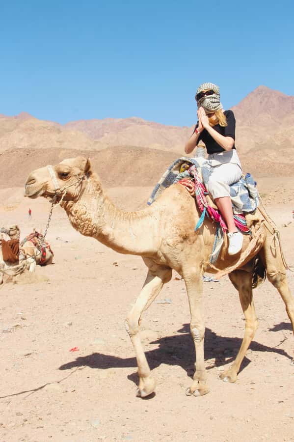 Sharm El Sheikh: Red Sea Scuba Diving Experience - Coral, marine life, and the Red Sea setting