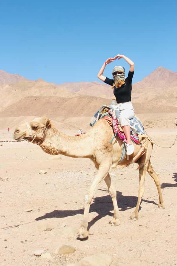 Sharm El Sheikh: Red Sea Scuba Diving Experience - Who will enjoy this experience most?