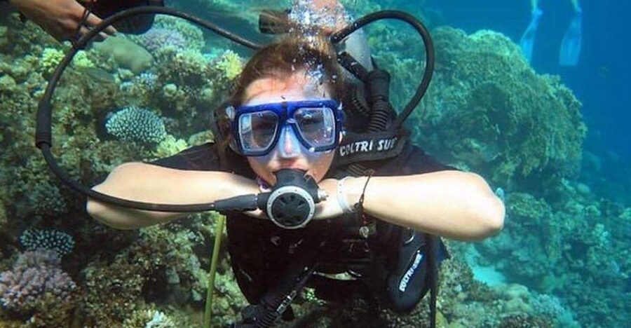Sharm: Introductory Dive from the Shore & PADI Courses - Key points to know before booking
