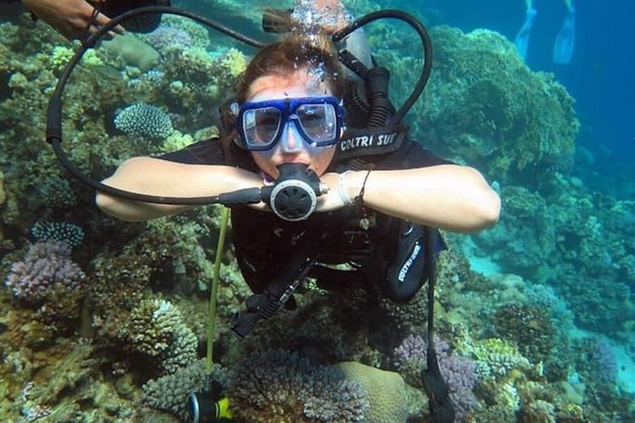 Sharm: Introductory Dive from the Shore & PADI Courses - Getting ready for your first underwater session