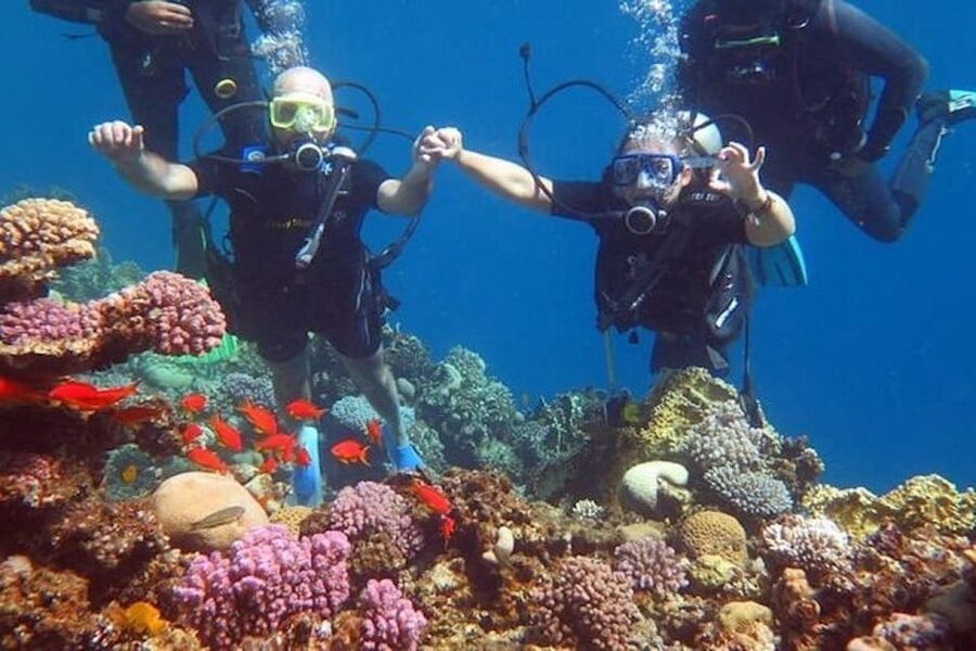 Sharm: Introductory Dive from the Shore & PADI Courses - The two to three day PADI Open Water path