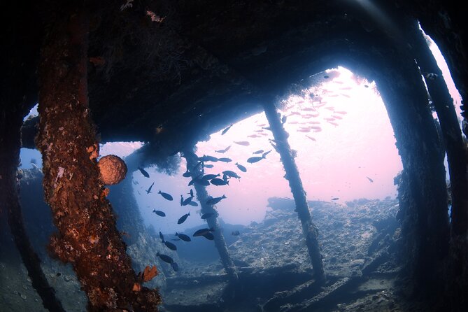 Shipwreck Diving in Tulamben - Why the USAT Liberty makes this trip worthwhile