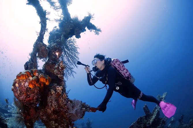 Shipwreck Diving in Tulamben - The guide team is a major strength