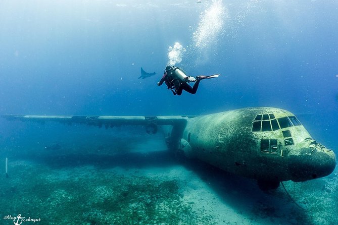 Shore Certified Diving - Two Dives - What this Aqaba scuba trip is really like