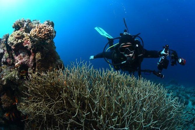 Shore Certified Diving - Two Dives - How the instruction feels in practice