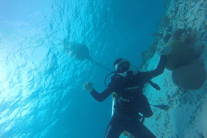 Shore Dive Aruba for Certified Divers - Starting at Nautilus Dive Center in Savaneta