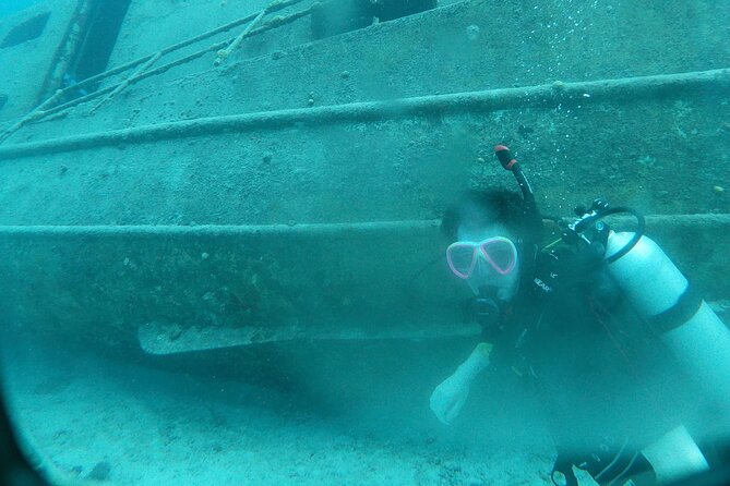 Shore Dive Aruba for Certified Divers - Mangel Halto Reef, the main attraction