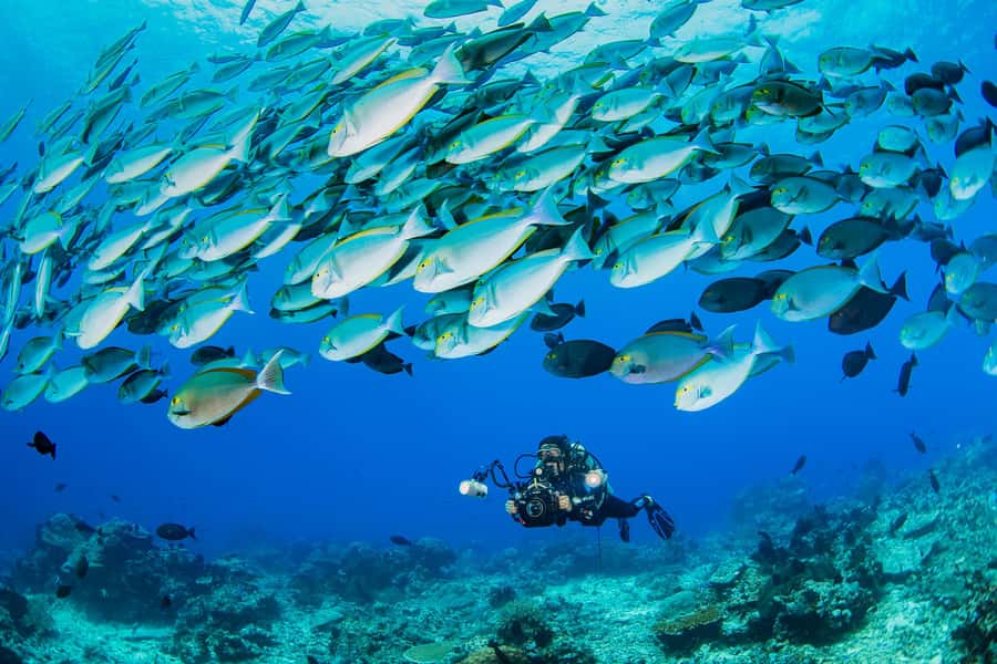 shore dive in red sea with pick up & snacks - What a first underwater session feels like