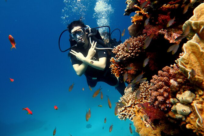 Shore Dives in Sharm El Sheikh Red Sea - What this Sharm el Sheikh experience actually promises
