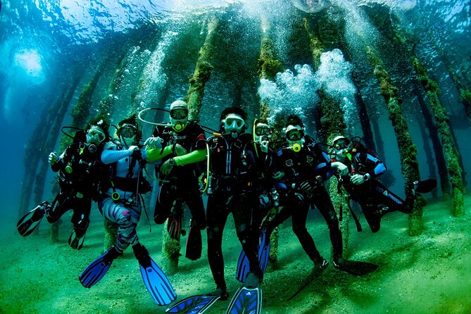 Shore PADI SCUBA Open Water Course - What your three to five days include